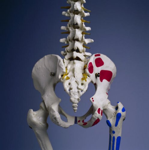 I Have Pain In My Groin Area - Doctor answers on HealthTap I have pain in my right groin