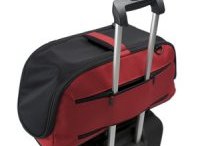 cat carrier as a trolley