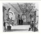 Library Images