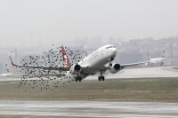 Plane