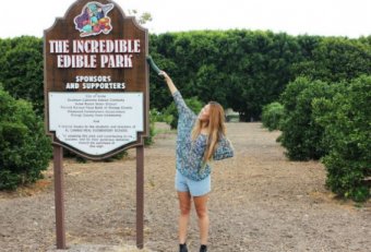 Travel America Park Irvine CA