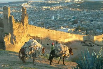 Travel Blogs on Meknes medina