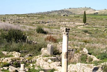 Travel Blogs on Volubilis Morocco