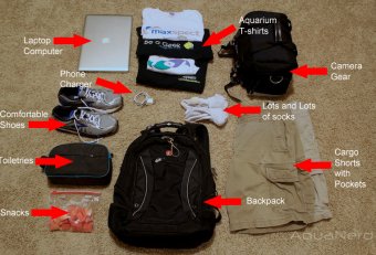 Traveling Gear
