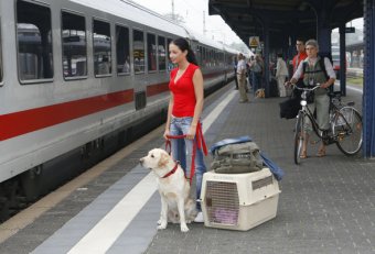 Travelling with Pets